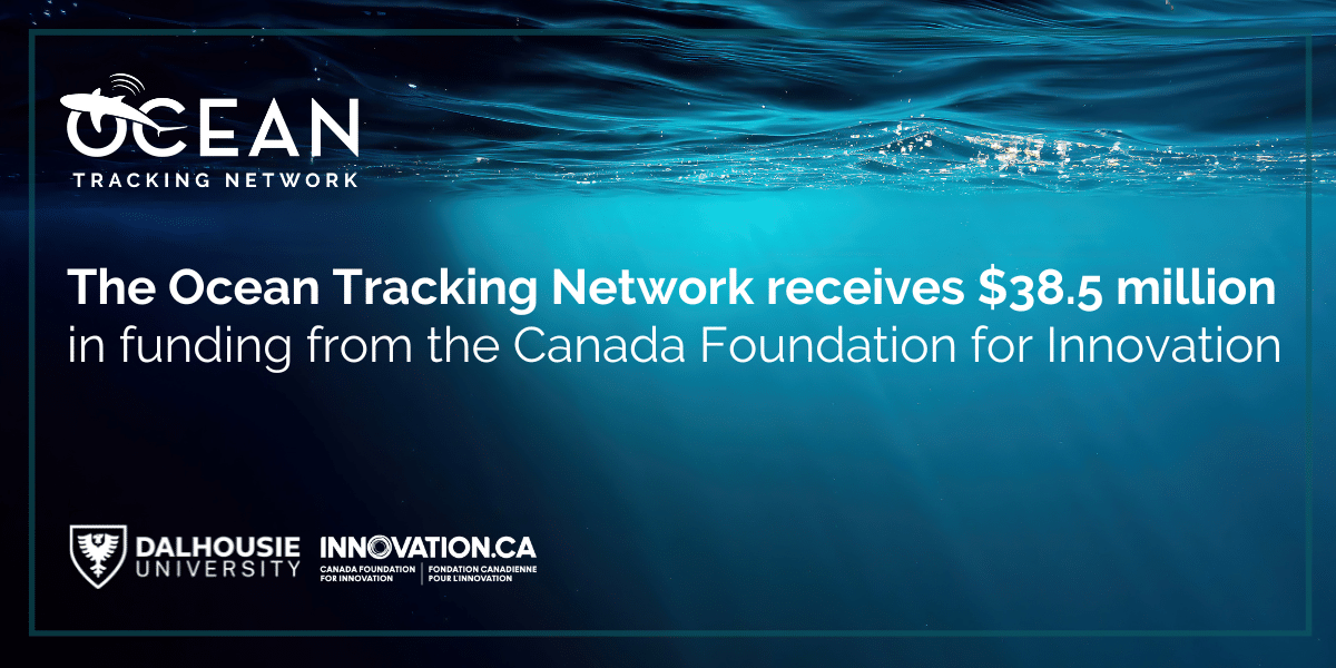 The Ocean Tracking Network receives $38.5 million in funding from the Canada Foundation for Innovation 