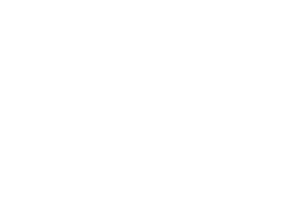 Logo for Merinov