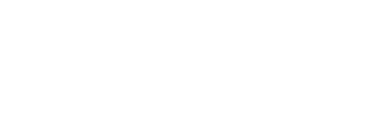 Multimedia Axess Inc.